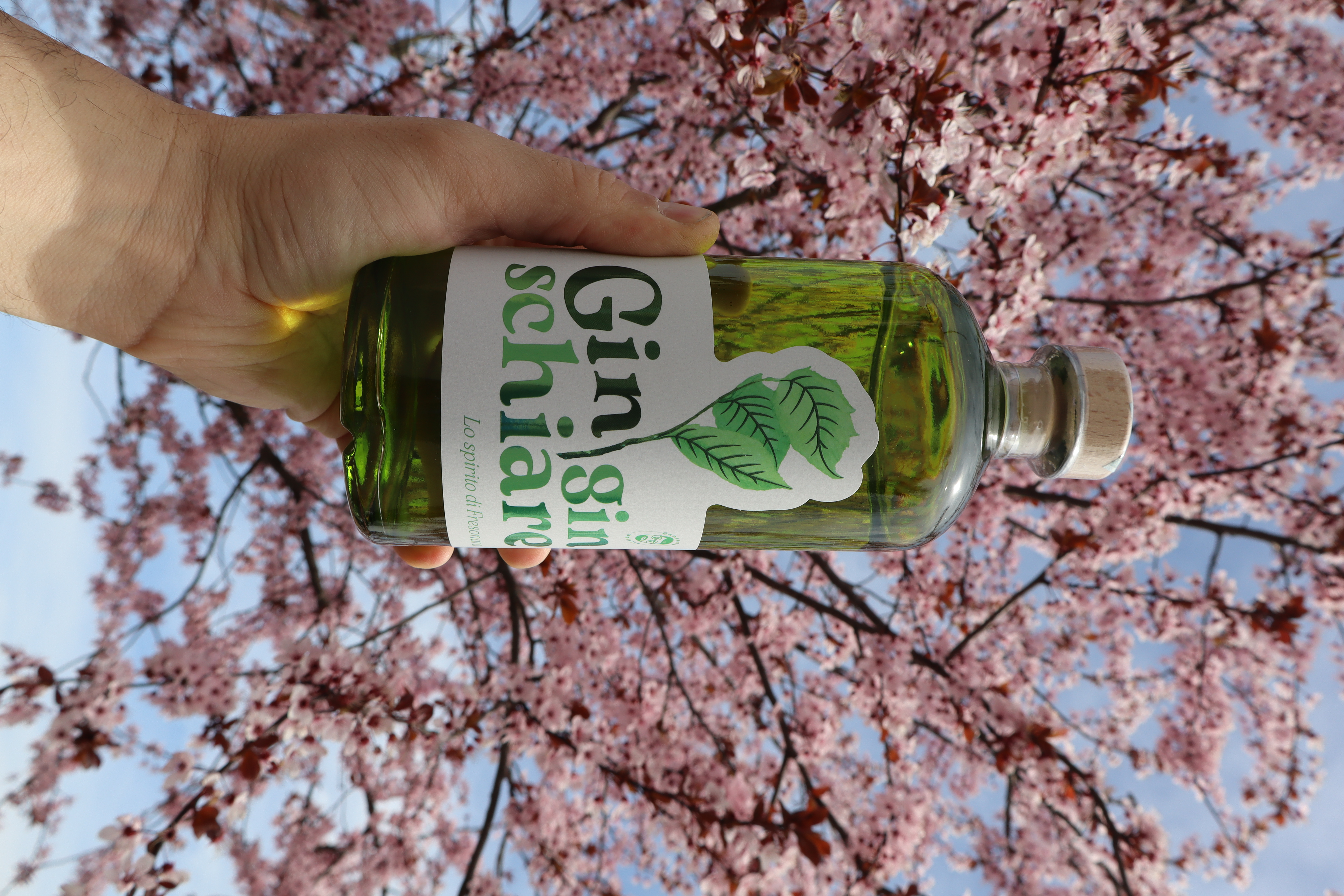 Fiori - Gin GinSchiare